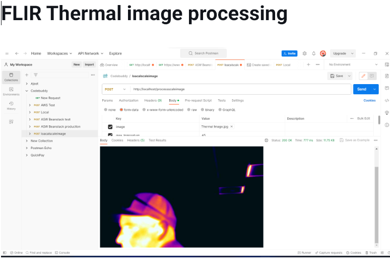 FLIR image processing